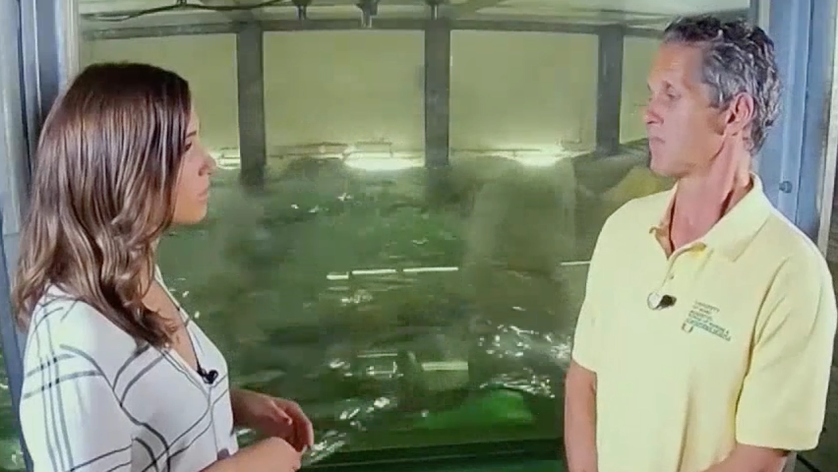 brian interview