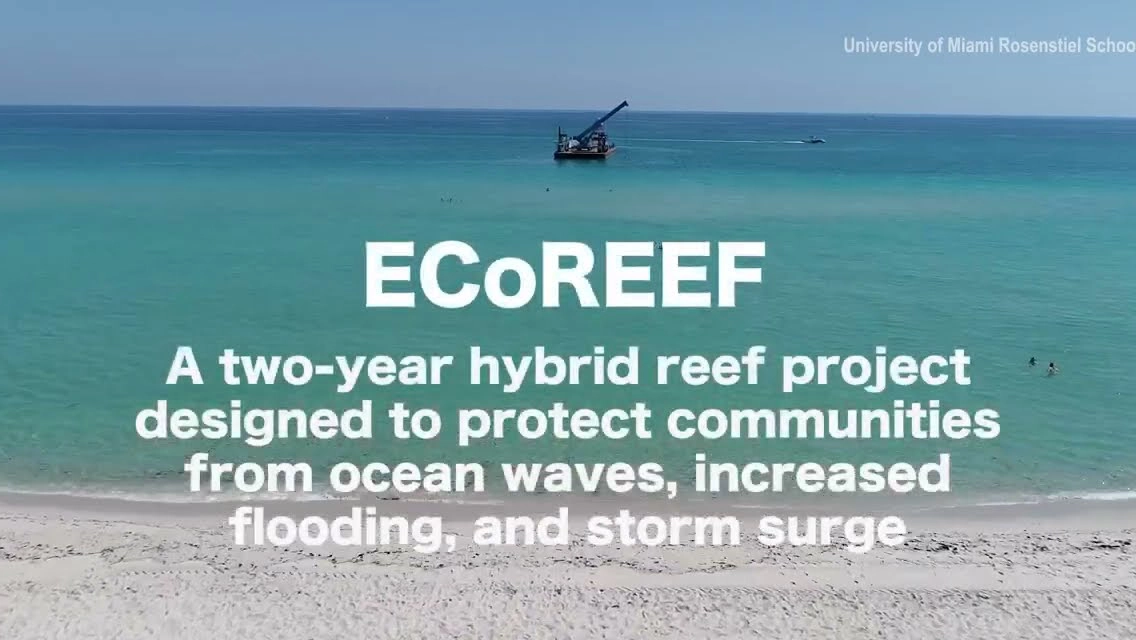 ecoreef offshore