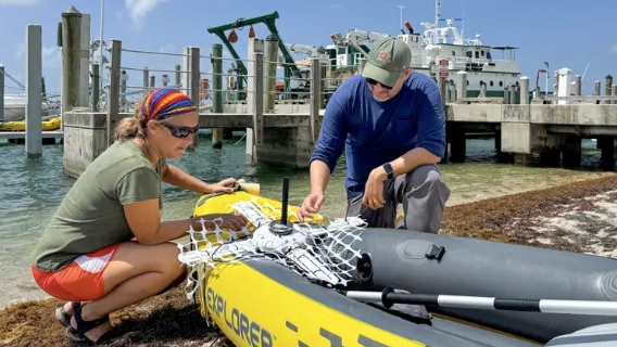 sargassum drifter