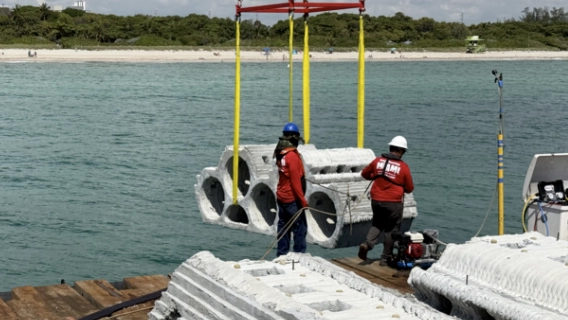seahive install